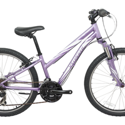 Foto 1 de Specialized Hotrock 24 2021