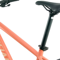 Foto 11 de Specialized Rockhopper Sport 2024 Talla L