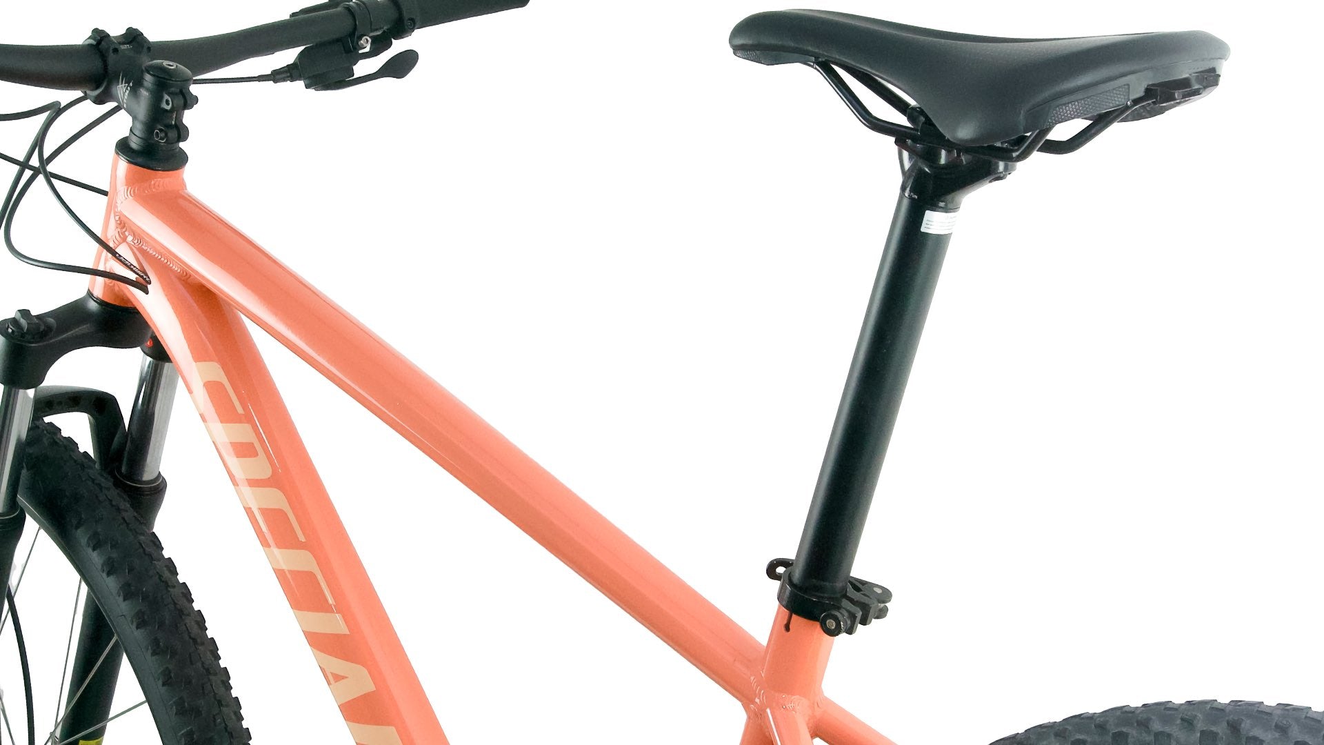 Foto 11 de Specialized Rockhopper Sport 2024 Talla L