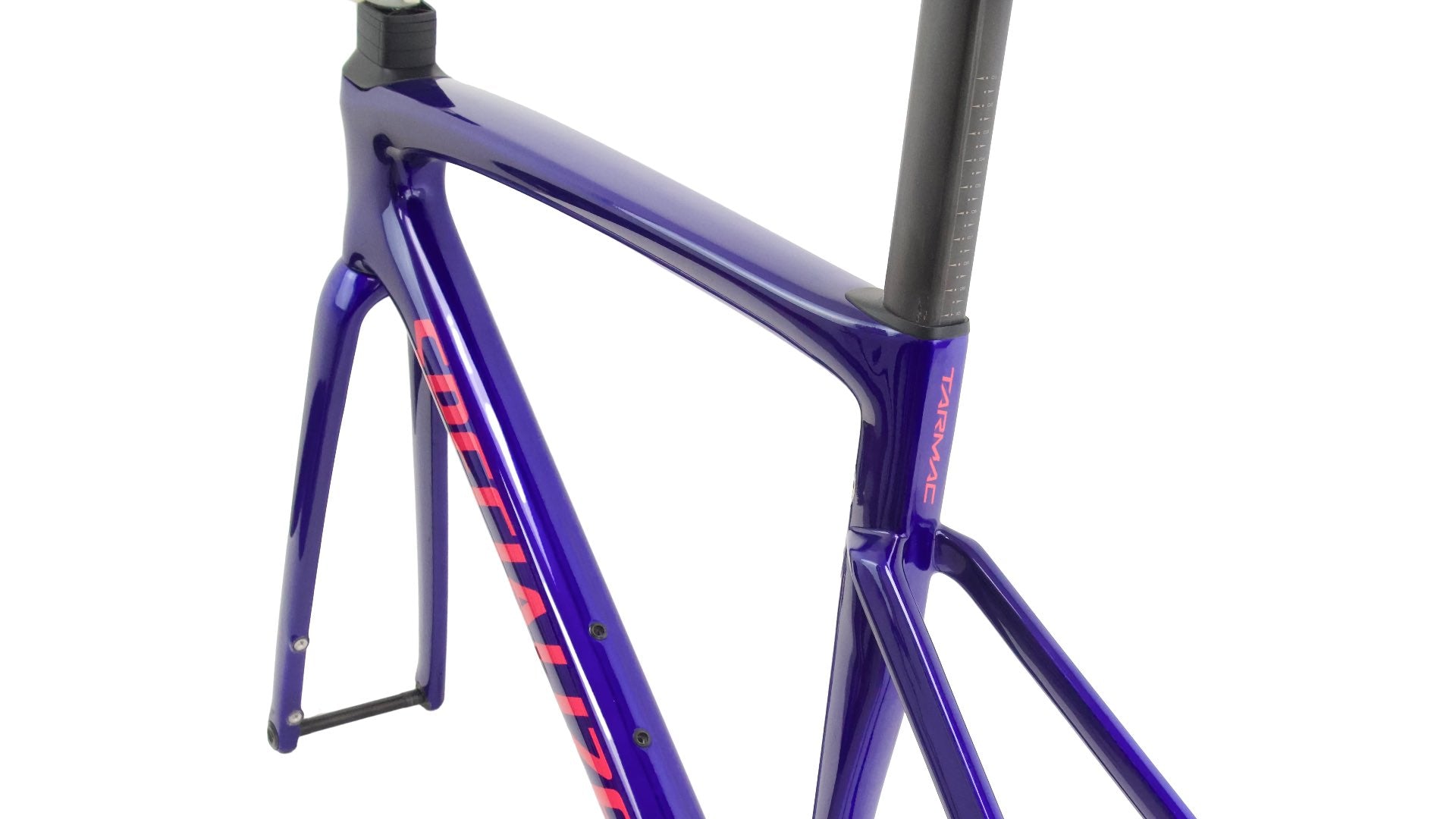 Foto 6 de Specialized Tarmac 2024