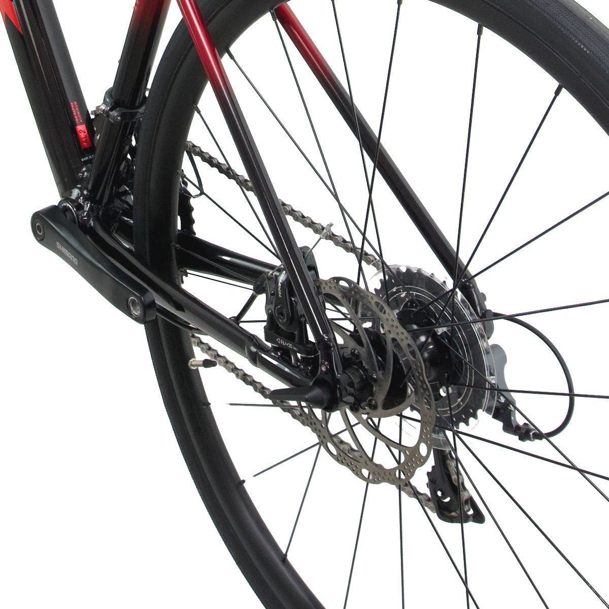 Foto 11 de Trek Domane AL 2 Disc 2024 Talla 49